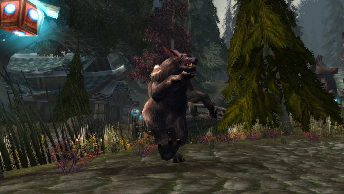 sod phase 2 druid leveling guide