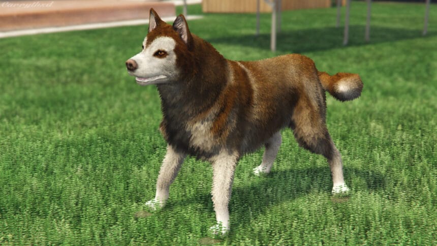 All Animal Wildlife Photography Locations In GTA Online The Nerd Stash All Animal Wildlife Photography Locations In GTA Online 13 860x484 