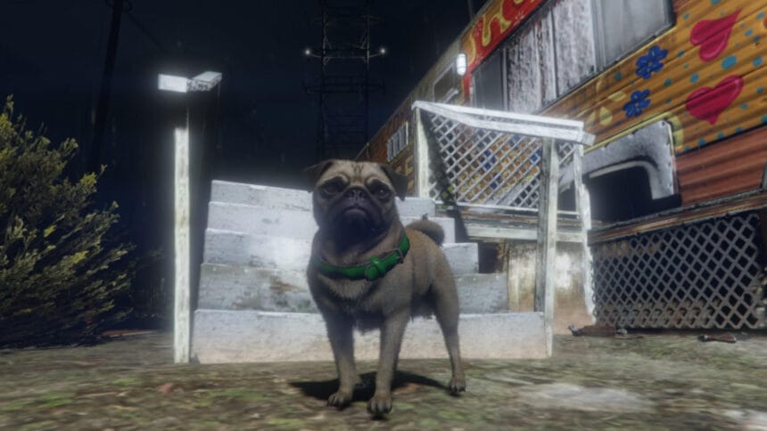 All Animal Wildlife Photography Locations In GTA Online The Nerd Stash All Animal Wildlife Photography Locations In GTA Online 17 860x484 