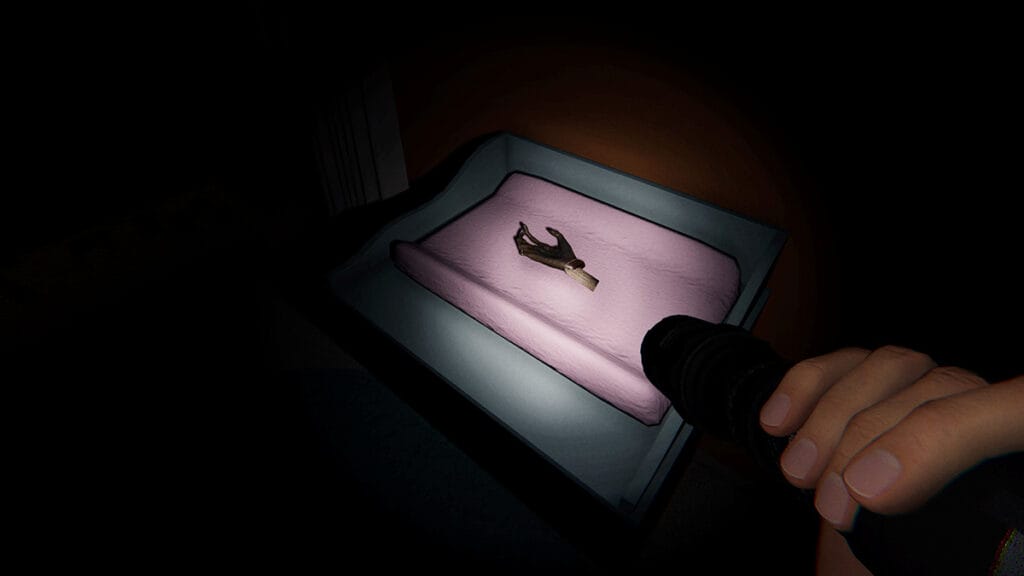 Mummified hand on pink nursery table