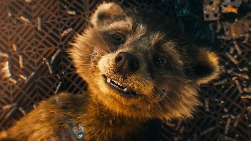 Rocket Raccoon in GOTG 3