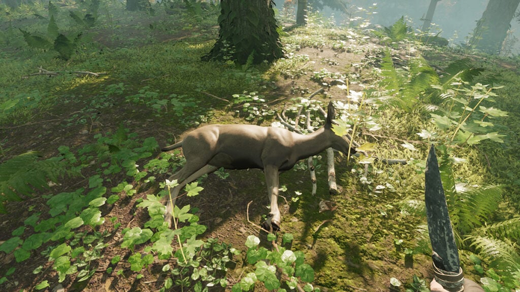 Crafting Animal Fibre in Nightingale