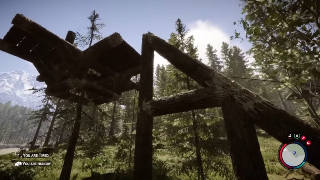 A ramp leads up to a treehouse