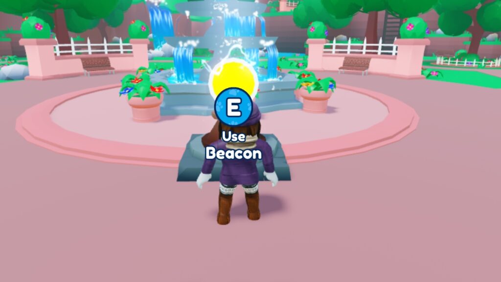 Pet Catchers Beacon