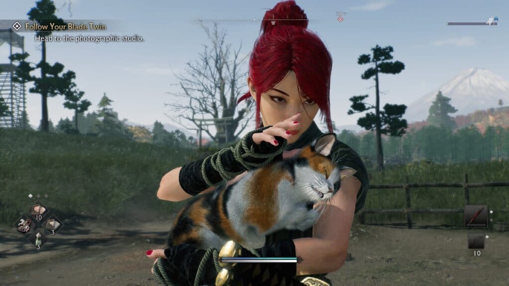 Ronin petting a cat