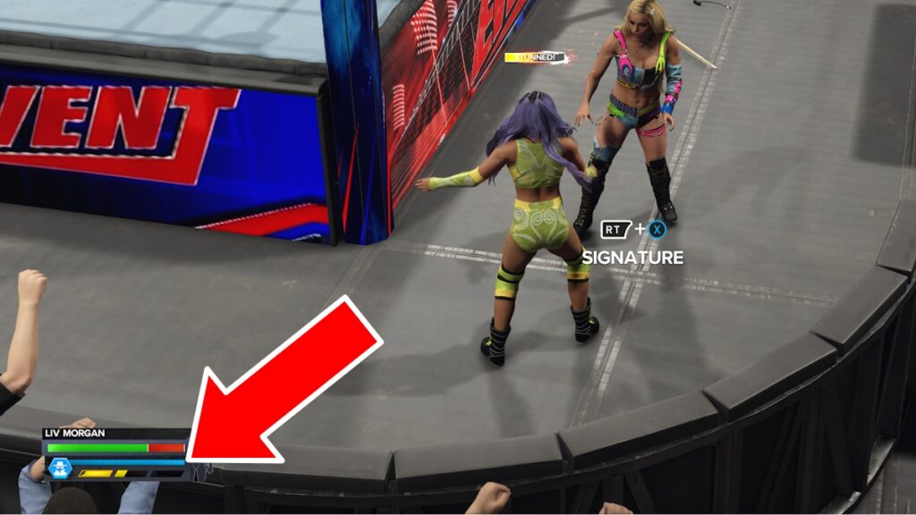 WWE 2K24 Signature and Finisher Bar