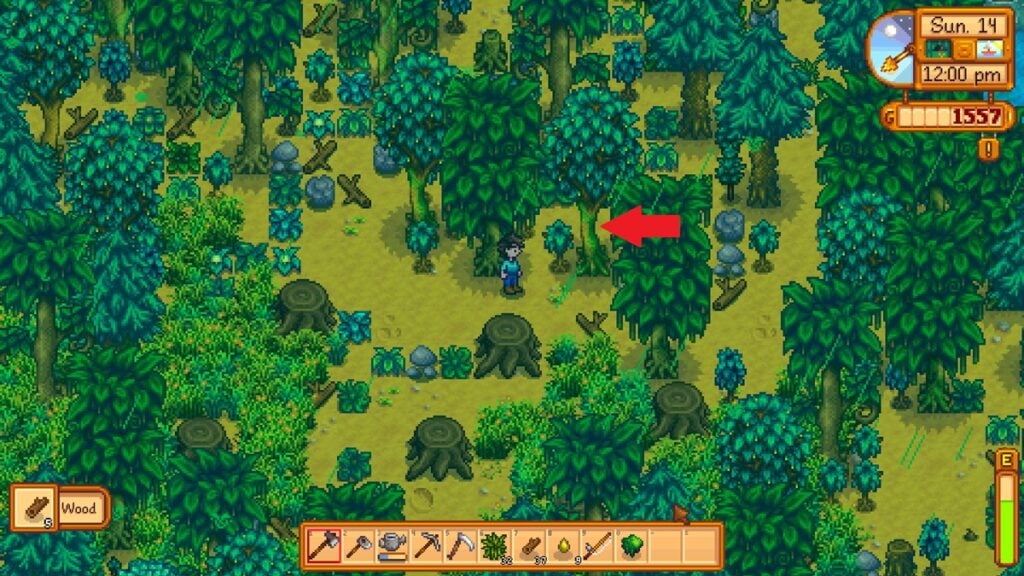 How to Get Moss in Stardew Valley