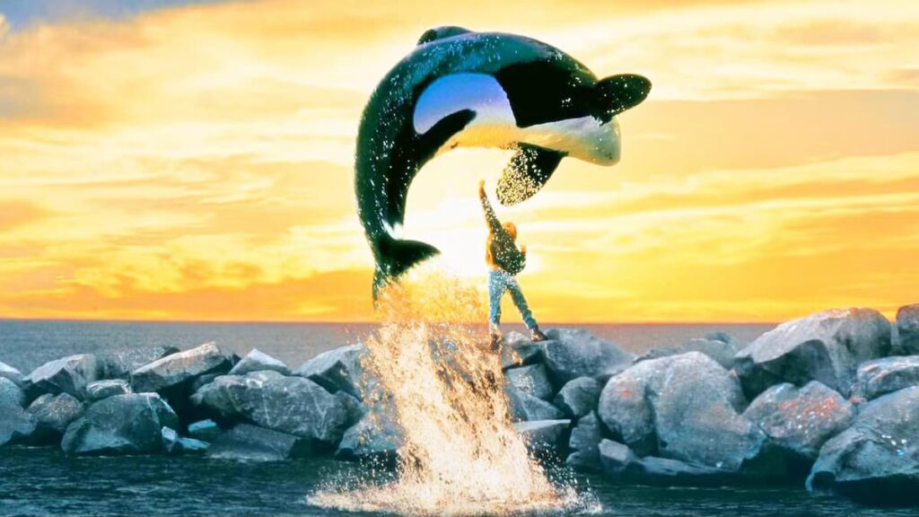 Free Willy