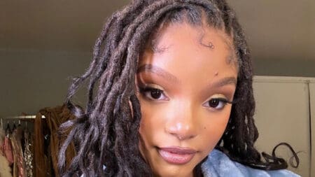 Halle Bailey's boobs post, Halle Bailey's bigger boob