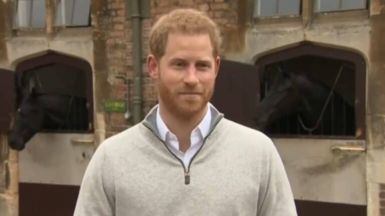 Prince Harry sans the royal family