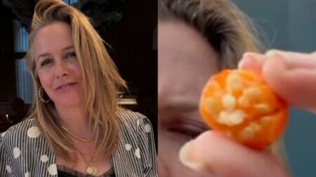 Alicia Silverstone Goes Offline For Almost A Day After Cluelessly Eating Poisonous Fruit