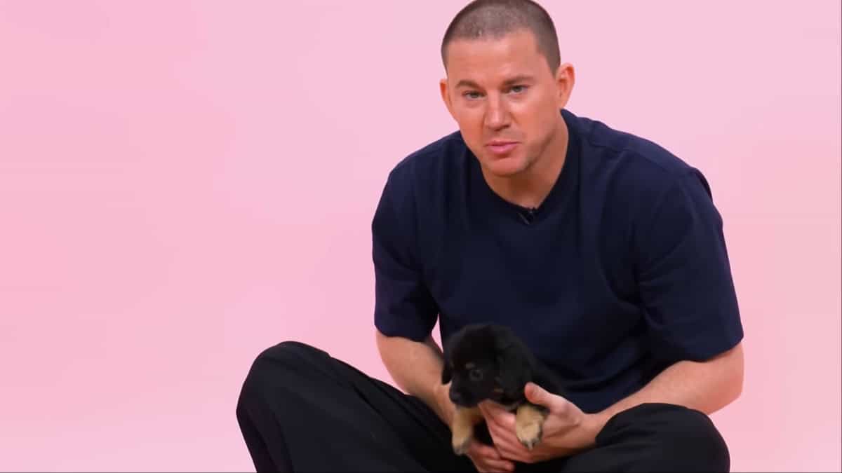 Channing Tatum Slammed For Being ‘Out Of Touch’ After Making Shocking Confession: ‘Wasteful and Stupid’