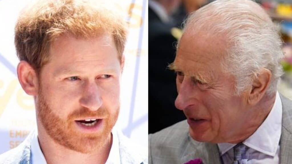 Prince Harry and King Charles photo merge