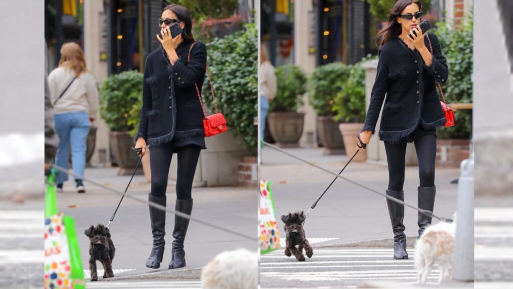 Irina Shayk spotted walking her dog in New York