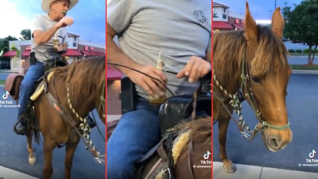 Man Drops Avoids DUI Charge With Carolina Horseback Riding Law: ‘ Had To Look It Up, He’s Right’