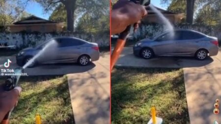 Man Sprays Screaming Karen Who Won't Leave Driveway 'The Water of Agony and Despair'