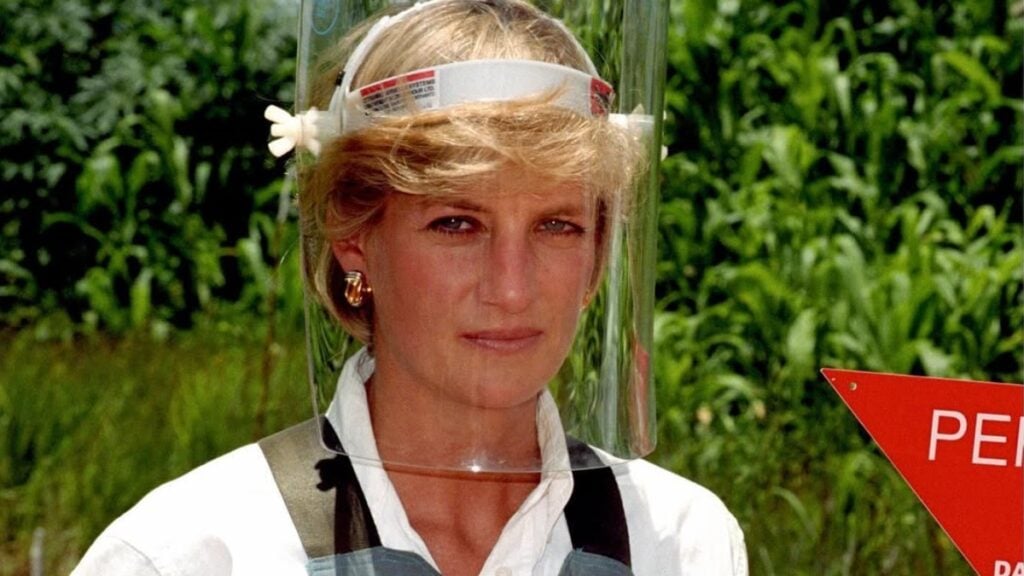 Prince William and Prince Harry's late mom Princess Diana