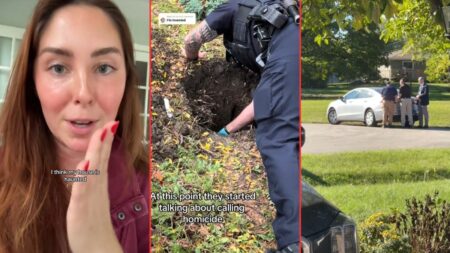 The Internet Follows Woman Digging Unknown Rug Out Of Her Backyard 'I Just Found This Ten Minutes Ago And I'm Already Invested'