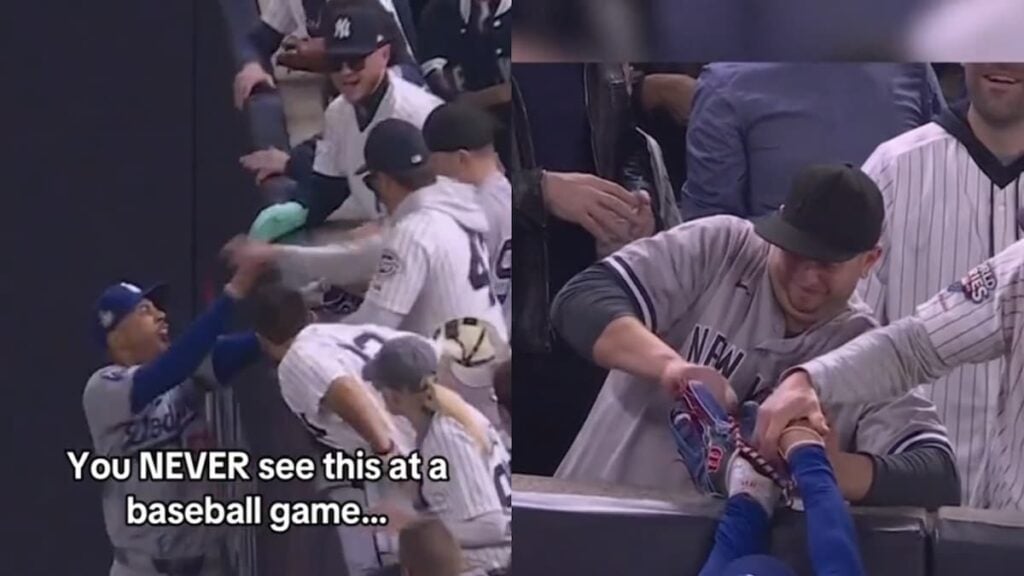 baseball fan steals ball