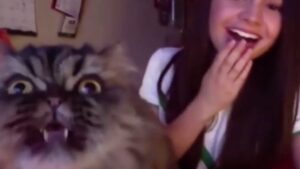 Cat interrupts singer in viral clip