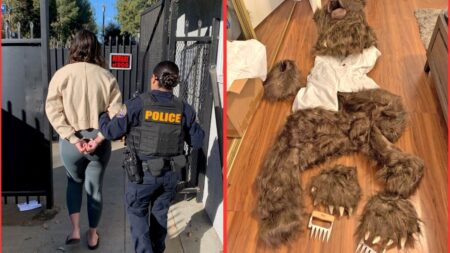 Four Suspects Who Reportedly Wore a Bear Costume to Pull off an Elaborate Insurance Scam Have Been Arrested in LA