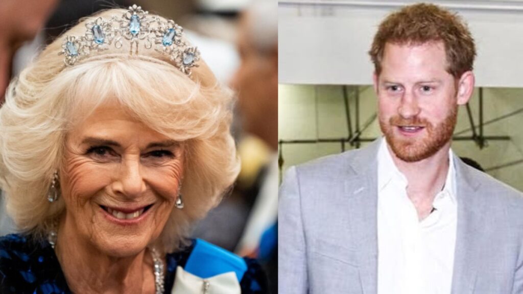 Queen Camilla and Prince Harry photo merge.