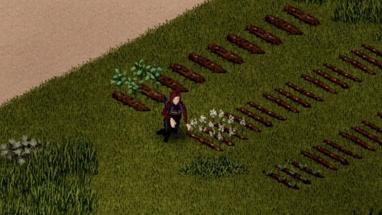 A survivor and their farm in Project Zomboid