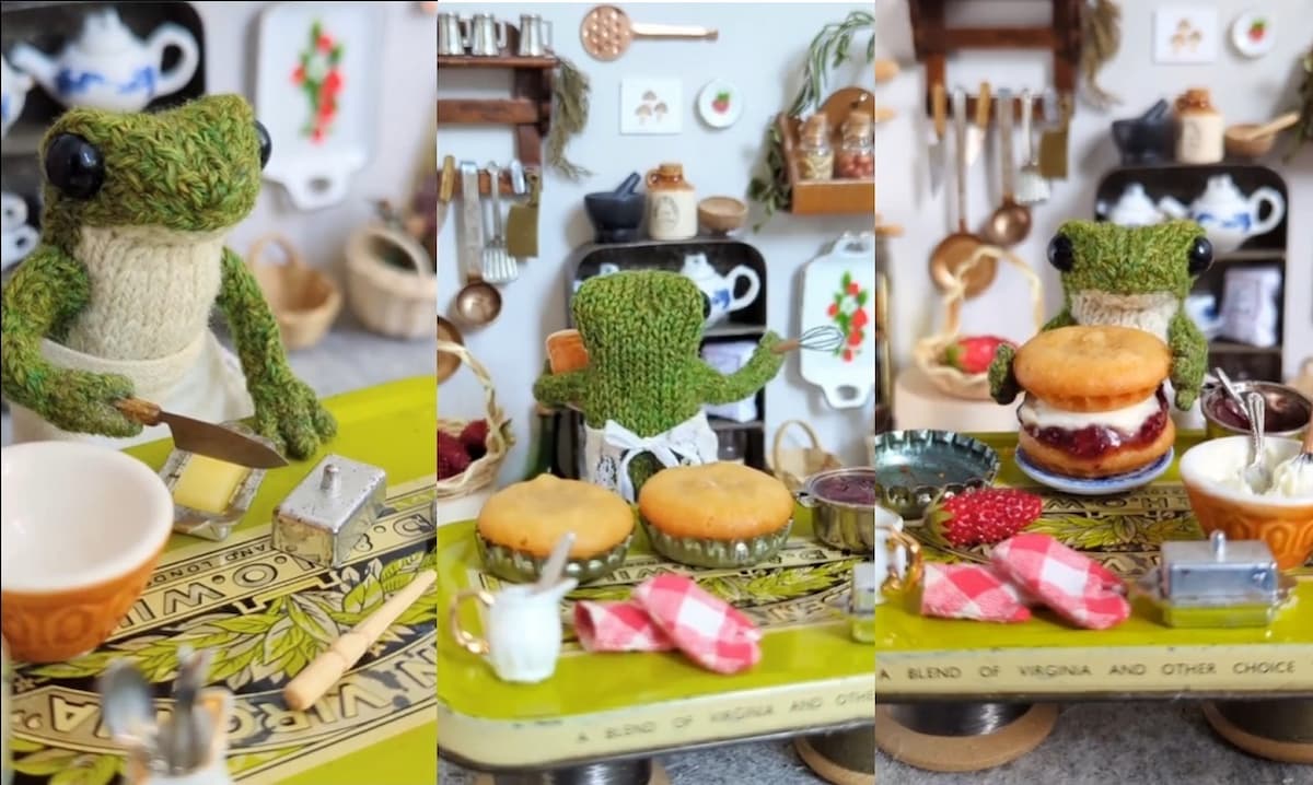 Adorable Knitted Frog Bakes a Cake and Melts Our Hearts: ‘This Makes Me So Happy’