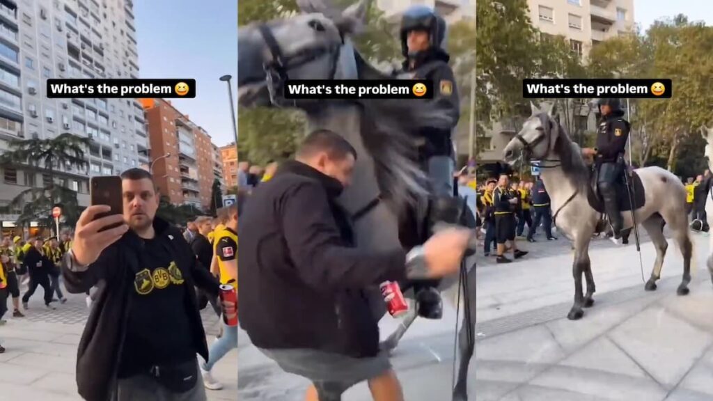 football fan hit by a horse