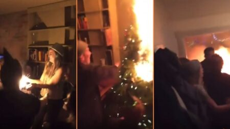 Drunk Karen Gets Carried Away and Burns Down Christmas Tree ‘Quick! Block the Exit With the Flaming Tree!!!'