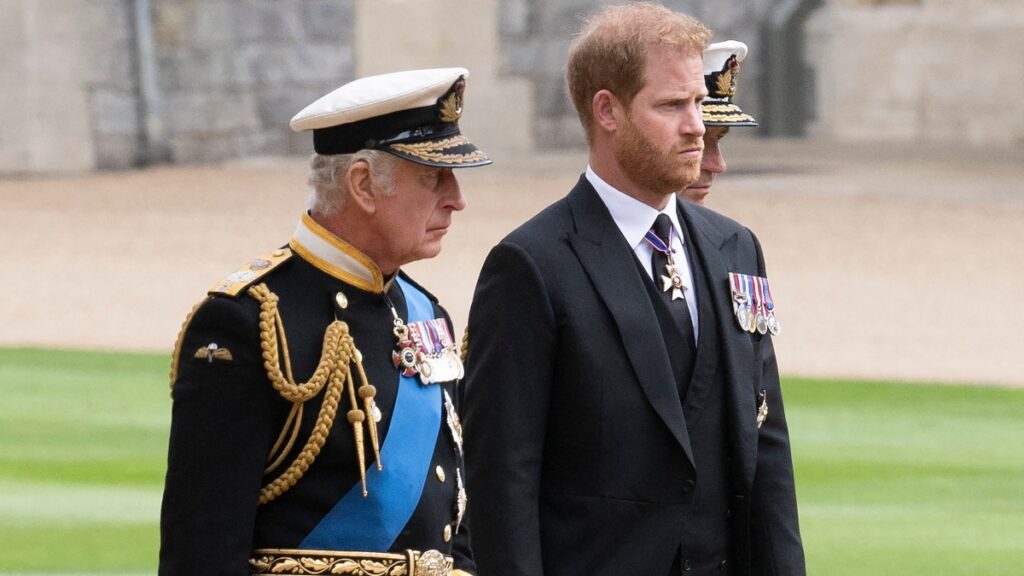 King Charles and Prince Harry at the funeral procession of Queen Elizabeth II in 2022.