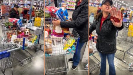 Man Confronts Woman At Supermarket About Non-Service Dog Inside Cart 'Finally Somebody Said Something!!!'