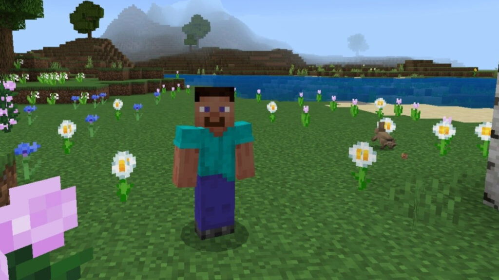 A character stands in a field of colorful flowers in Minecraft