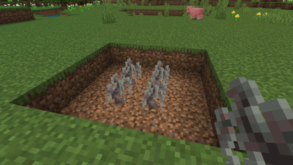 Four pale oak saplings planted in dirt in Minecraft