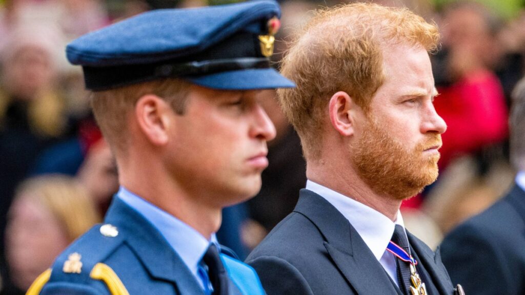 Prince Williamand his brother Harry at the late Queen Elizabeth's funeral.