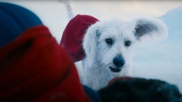 Krypto in Superman trailer