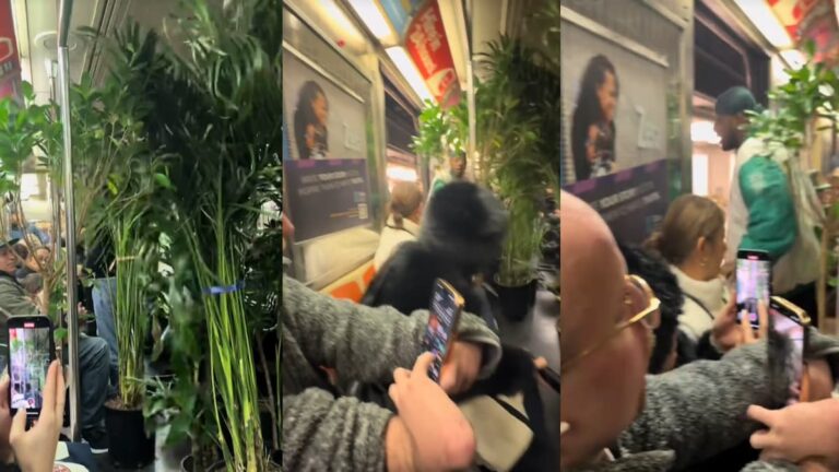 Subway Riders Stunned as Man Hauls Entire Garden Onto Train: ‘Welcome to the Jungle’ subway loaded with plants