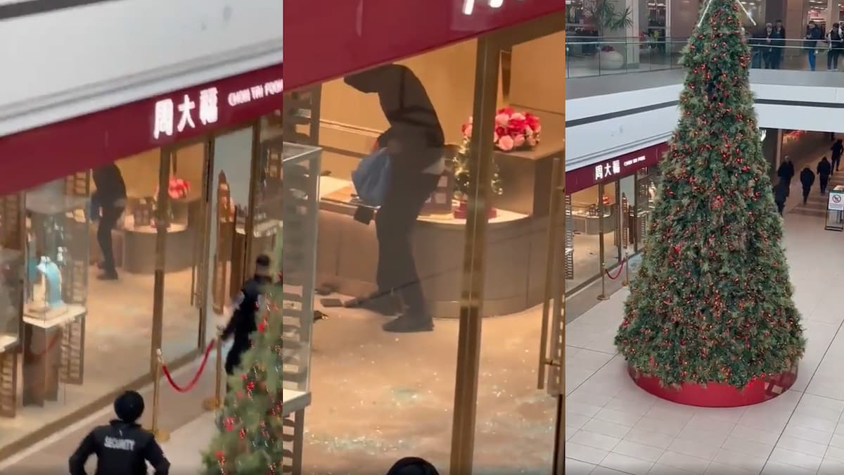 Toronto Smash-and-Grab Sparks Debate About Role of Security Guards: ‘Talk about Worthless’