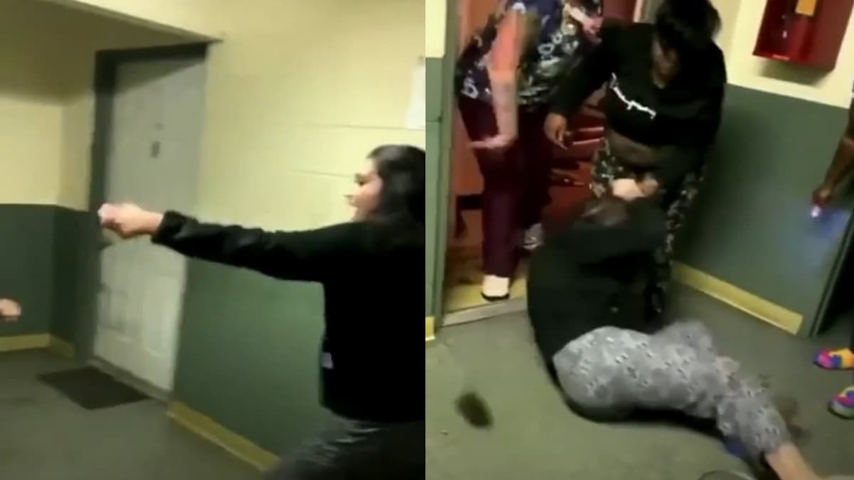 Taser Attack Fails Spectacularly in Brawl Over Empty Threats: ‘She Was Confident For 5 Seconds’