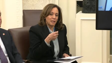 Kamala Harris Faces Backlash After Urging Pacific Palisades Wildfire Victims to 'Be Patient' During Fire Briefing