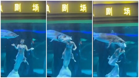 Russian mermaid woman gets mauled by fish in aquarium