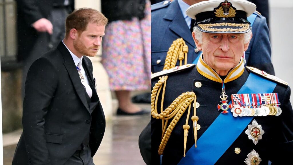 Prince Harry to be cut from inheritance by King Charles