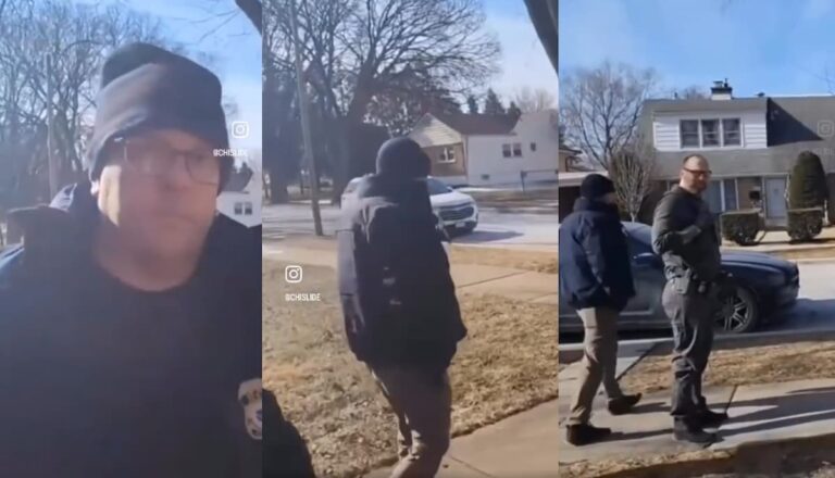 ice agents in illinois injure homeowner