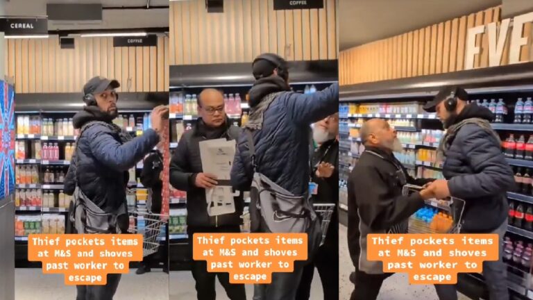 Thief Shoves Store Employee After Openly Stealing: ‘What’s the Point of Security’ shoplifting thief