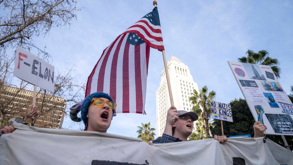 Americans protest Donald Trump and Elon Musk's initiatives,