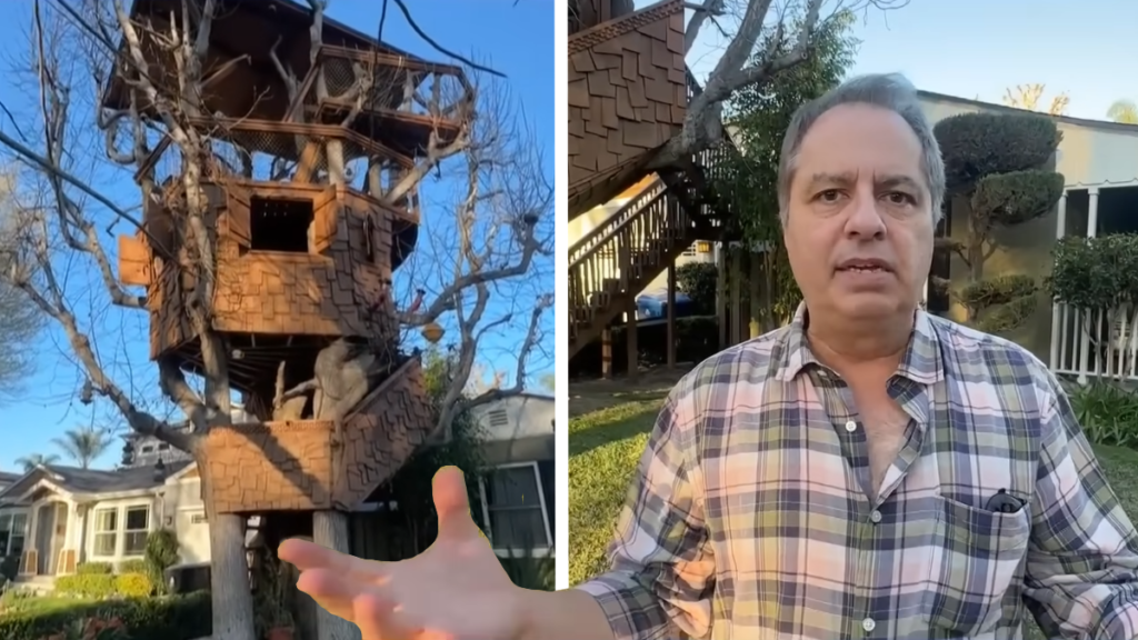 California Dad Forced To Dismantle Treehouse