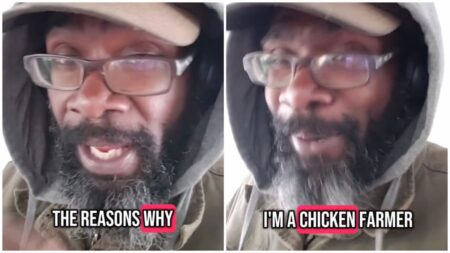 Chicken farmer in US