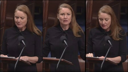 New Mexico Rep. Melanie Stansbury delivers a speech to congress, calling out the illegal actions of Donald Trump and Elon Musk