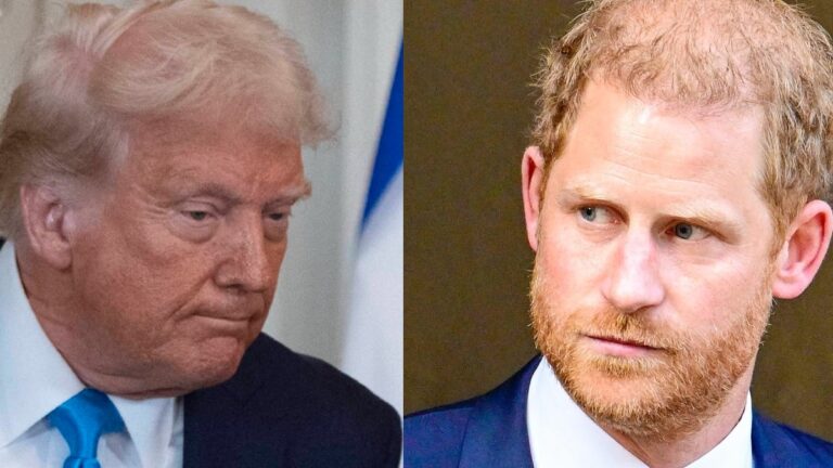 Prince Harry and Donald Trump photo merge