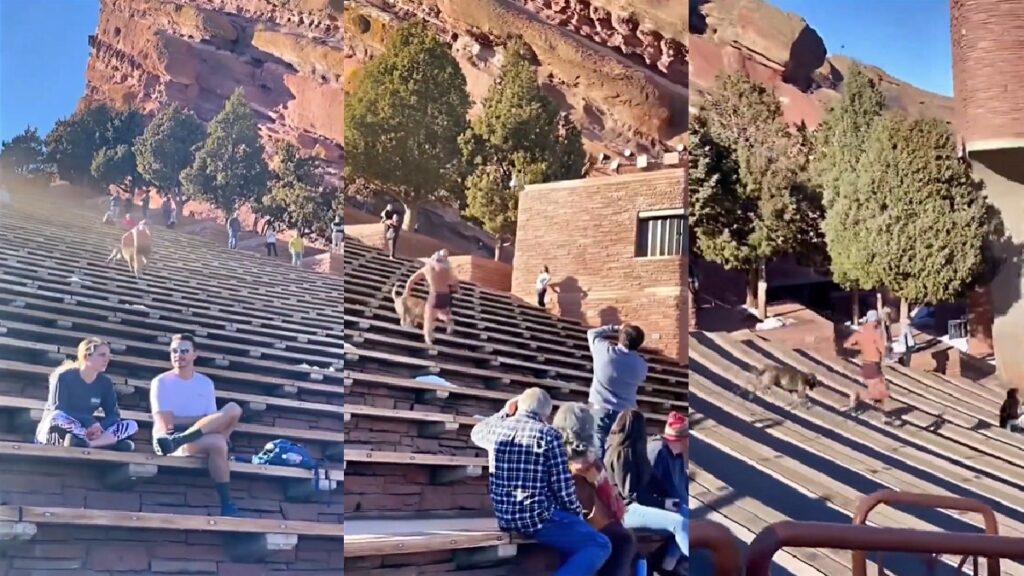 Red Rocks Park backward runner